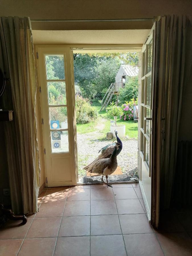 Frairie Du Divit Bed and Breakfast Pontivy Eksteriør billede