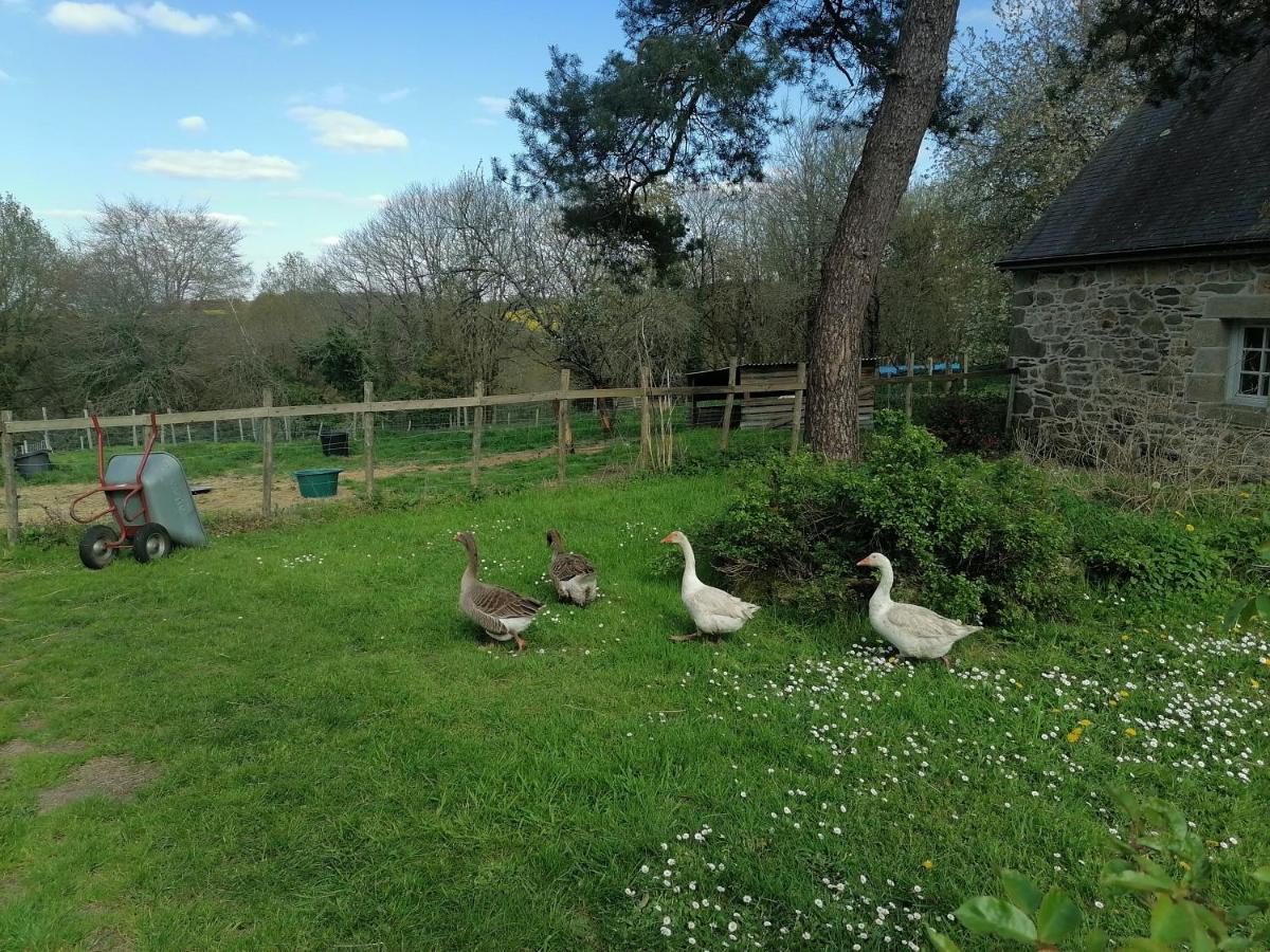 Frairie Du Divit Bed and Breakfast Pontivy Eksteriør billede