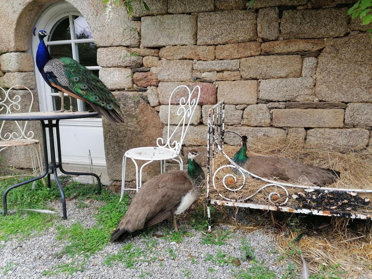 Frairie Du Divit Bed and Breakfast Pontivy Eksteriør billede